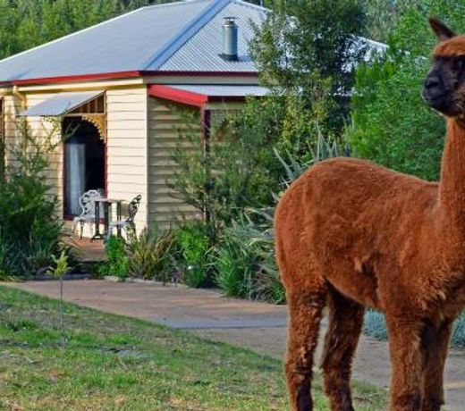 Araluen Park Cottages