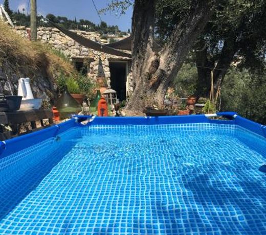 Le petit jardin exotique