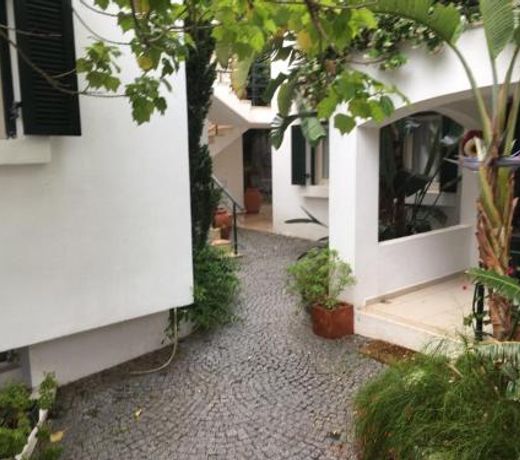Casita Verdi Evleri
