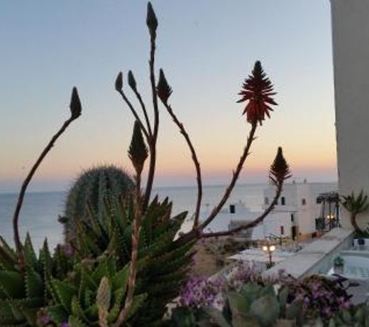 B&B Punta Cutieri