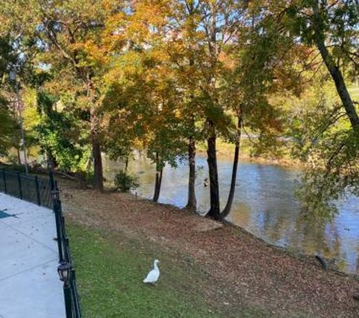 River Place Condos 209 1BR