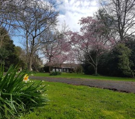 Woodbury Farm B&B
