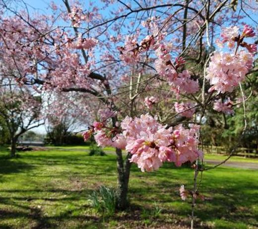 Woodbury Farm B&B