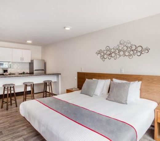 OM 686 URBAN LOFTS Narvarte