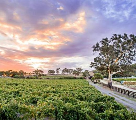 Brockenchack Vineyard Bed & Breakfast