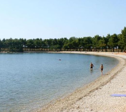 Family friendly apartments with a swimming pool Veli Mlun, Central Istria - Sredisnja Istra - 13099