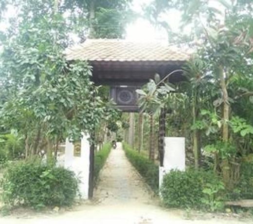 Thuy Bieu Homestay
