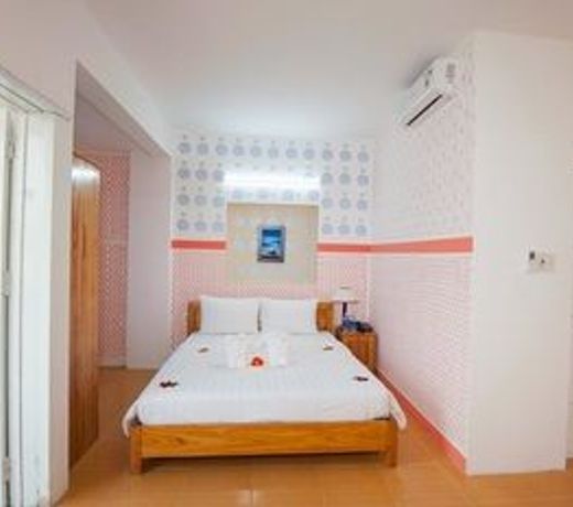 Tri Tran Homestay