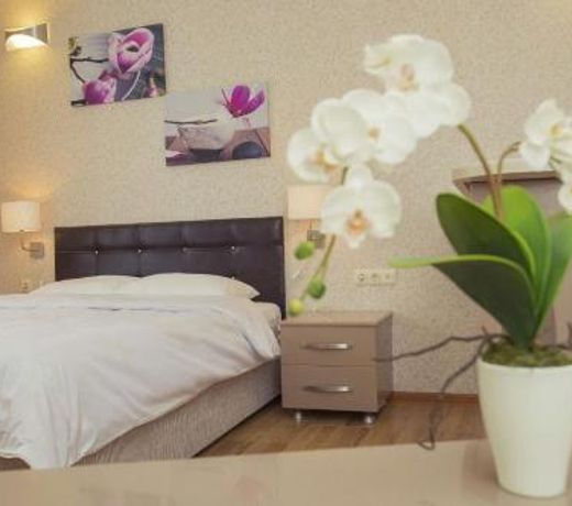 Luxury Inn Orbi