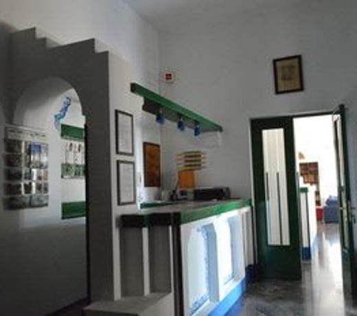 Alma Mater B&B