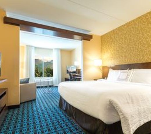 Fairfield Inn & Suites by Marriott Asheville Tunnel Road