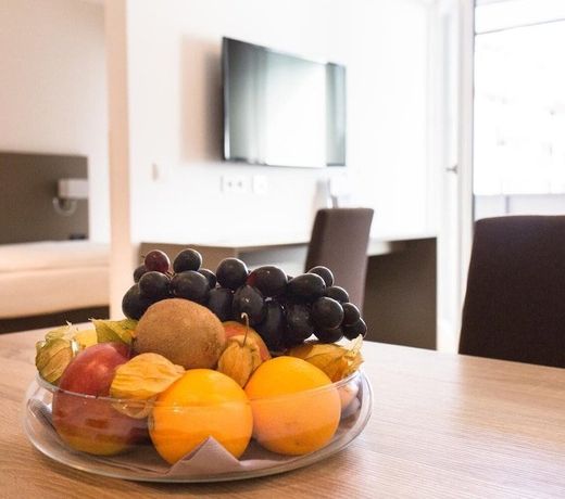 Vitus Steyr Hotel & SPA Suites
