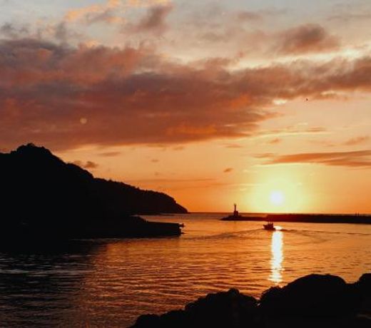 Book & Guesthouse Hitotomaru