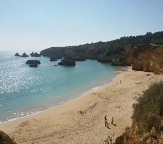 Yaholidays
