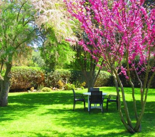 Agriturismo Serignano alle Rocchette