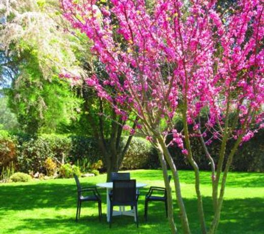 Agriturismo Serignano alle Rocchette