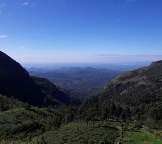 Ella Banana Rest Inn