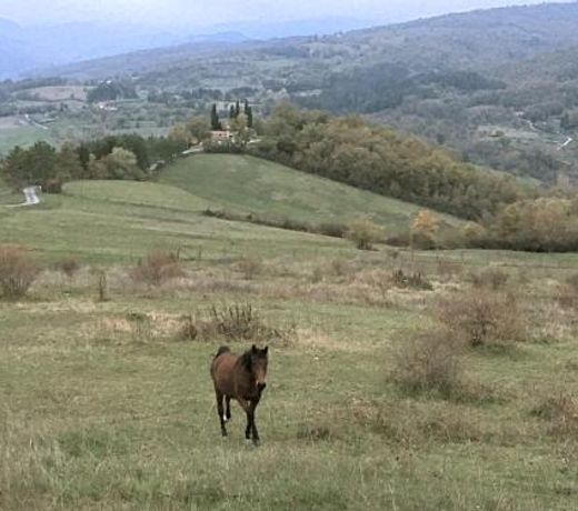 Agriturismo Mandrioli