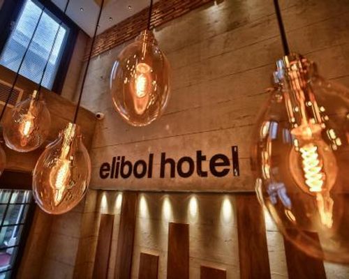 Отель ELIBOL / Elibol Hotel - Стамбул - фото 19