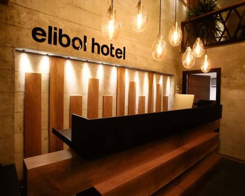 Отель ELIBOL / Elibol Hotel - Стамбул - фото 21