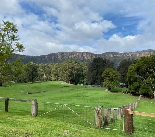 Barranca Kangaroo Valley
