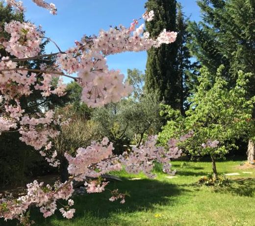 Villa Romaine & Spa Ã  UzÃ¨s