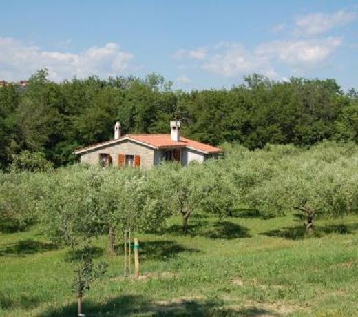 OlivaHouse
