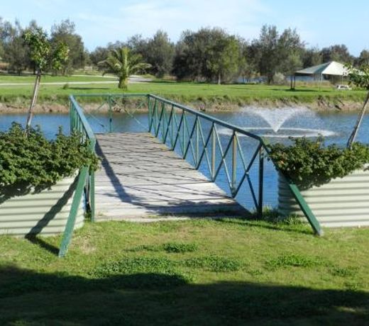 Golden Ponds