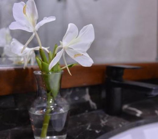 Amrita Green Retreat