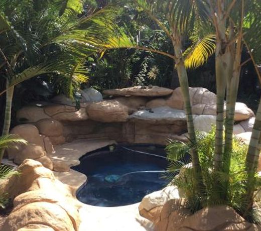 Tropical Paradise