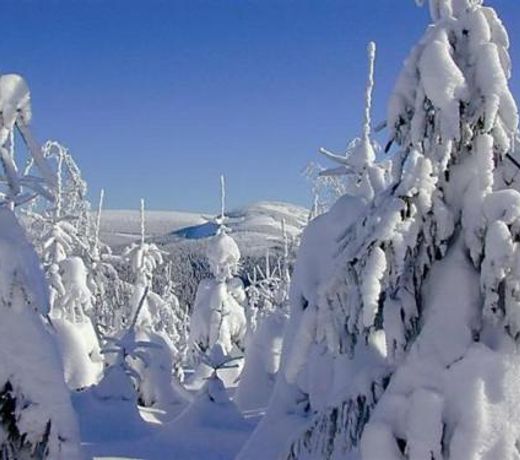 Harrachov Resident Apartments with Terrace