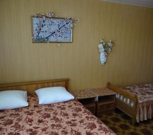 Guest house Arina