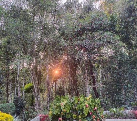 Philip Mary Farm Stay