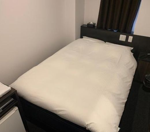 Nagoyaeki Access Hotel