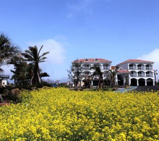 MJ Pension & Resort