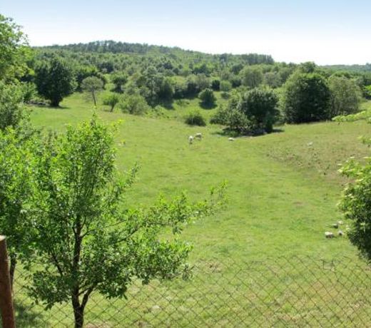 Holiday Home Narcis - PZN211