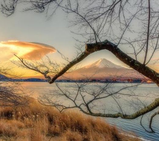 Daikokuya Mt.Fuji