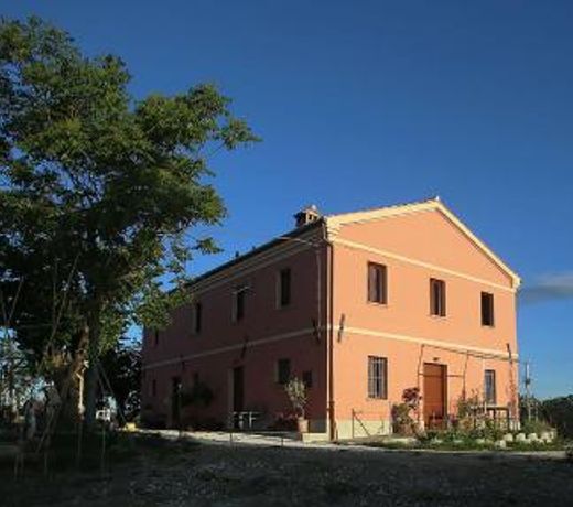 quindici alberi