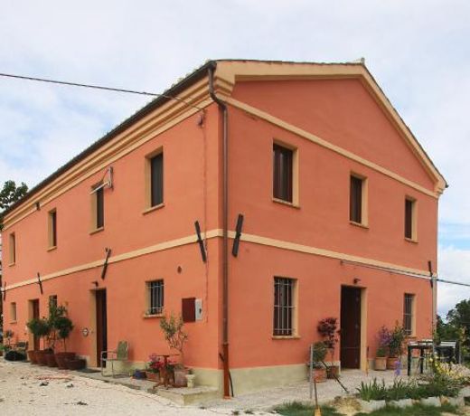quindici alberi