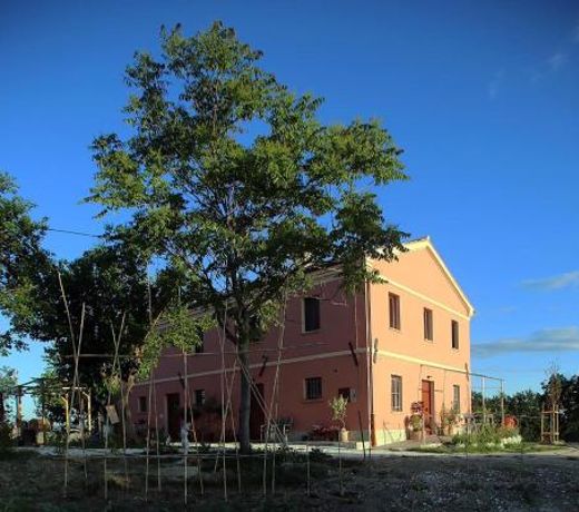 quindici alberi