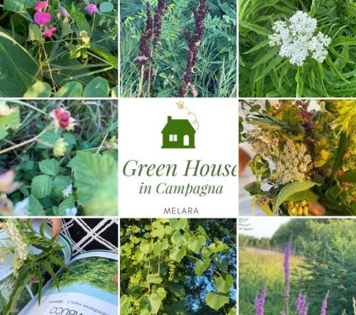 Green House in campagna