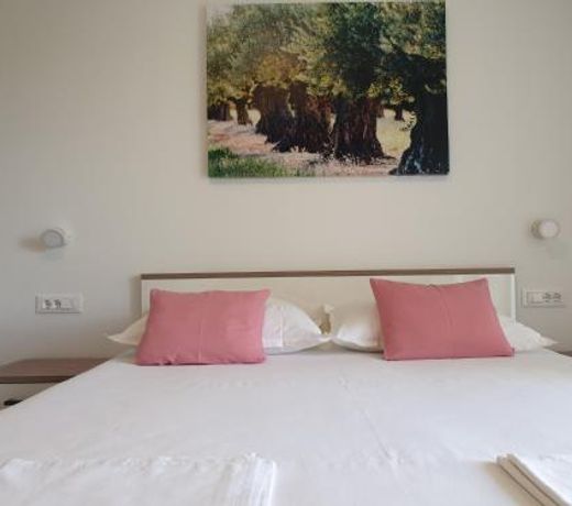 Guesthouse DominoviÄ