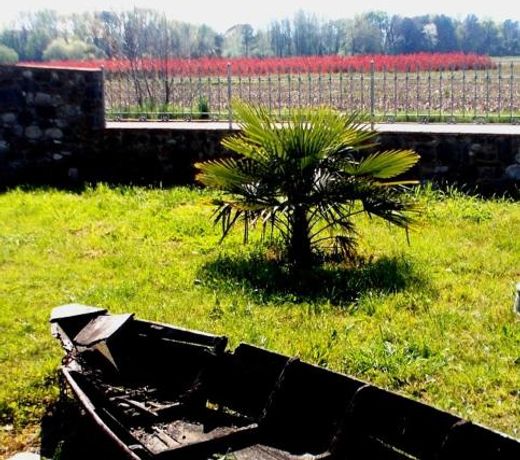 Agriturismo Podere dei kiwi