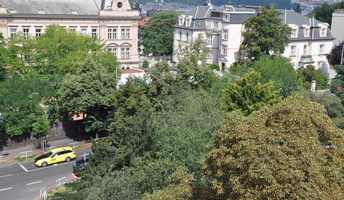 Green Oasis Wenceslas Square Apartments