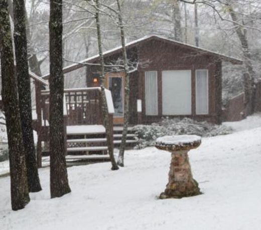 The Woods Cabins
