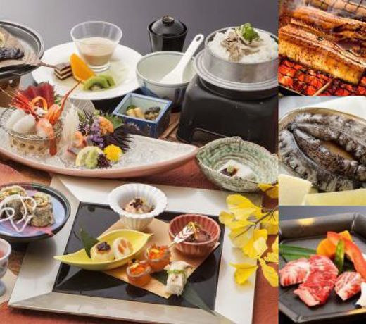 Hamanako Kanzanji Onsen Hotel Kikusuitei