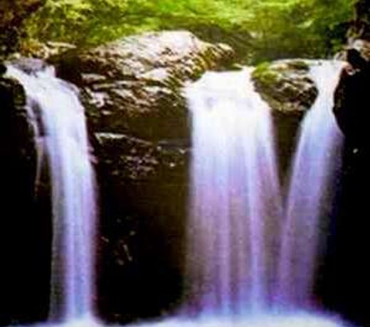 Shitajima Onsen Senyukan