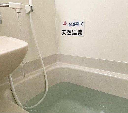 Matsueshinjiko Onsen Matsue City Hotel Annex
