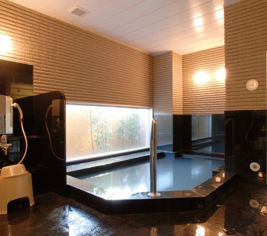 AB Hotel Mikawa Anjo Minamikan