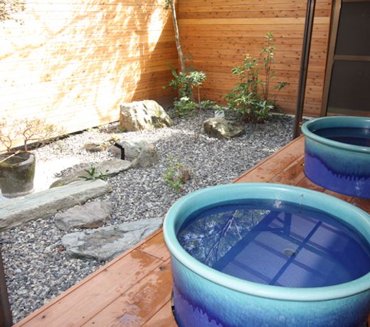 Dochu Land Shin Onsen